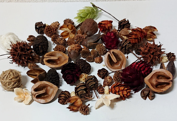 野バラの実　サイズミックスと松ぼっくりミックス25個‼️お客様ご注文品♪ Amazon｜10 個の天然ミニ松の実大天然松ぼっくりクリスマス新年