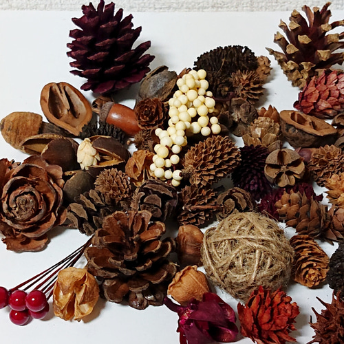 送料無料】松ぼっくりと木の実の詰め合わせ① その他素材 Ryukyu of