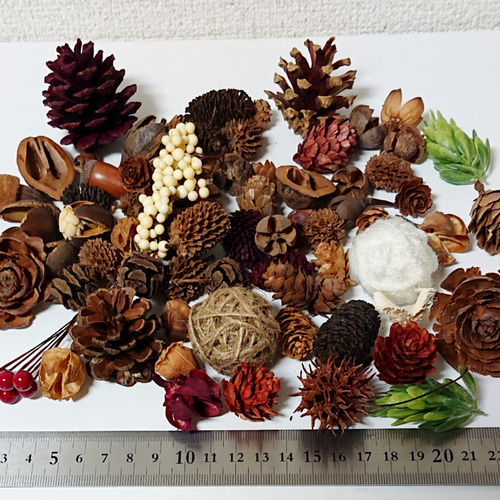 大量の松ぼっくり＆木の実セット」 P5倍中 12/16 09:59迄】 ドライフラワー 花材 即日出荷 RMストローブ