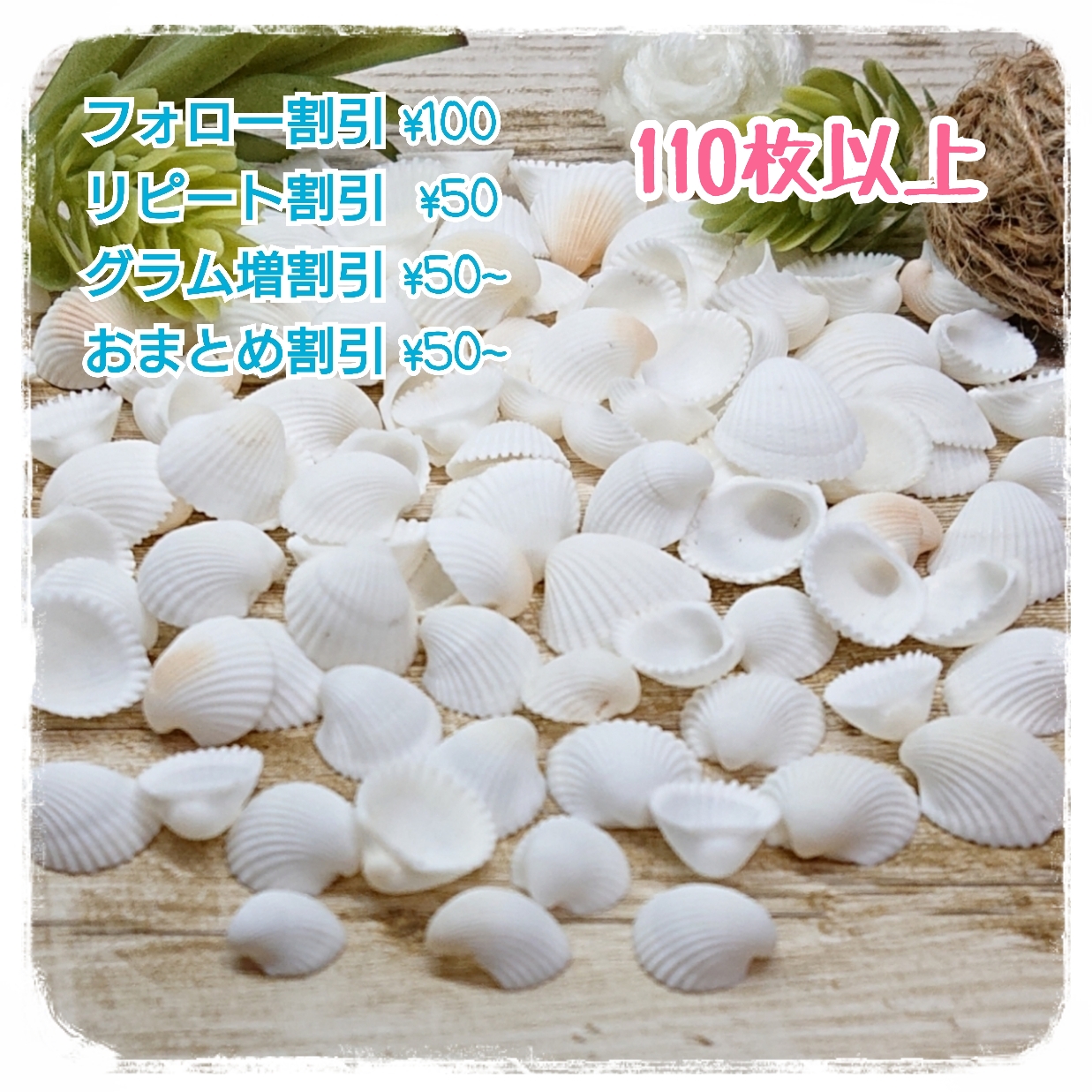 110枚＋約10枚入り】 クラムローズ/ミニ/二枚貝/貝殻/シェル 