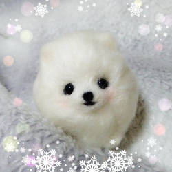 ミニふわ+ポメラニアン(白) 羊毛フェルト chat+noir 通販 1646250