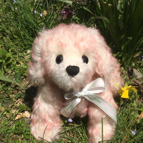 〚羽月〛トイプードル　ぬいぐるみ♡ 羽月〛トイプードル ぬいぐるみ♡ 羽月様専用〛トイプードル ぬいぐるみ♡