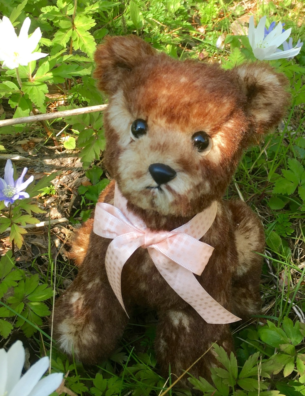 ○yoshimaruさんワンコ犬わんこいぬ作家ぬいぐるみ作家ベア