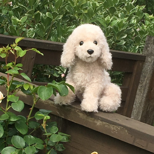 トイプードル リアルモヘアぬいぐるみ トイプードルぬいぐるみ 高級モヘア製 ぬいぐるみ アトリエ HanaHana