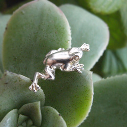 ＜蟲＞いたずら蛙ピアス 2枚目の画像