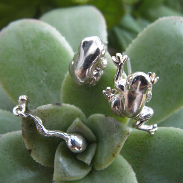 ＜蟲＞いたずら蛙ピアス 4枚目の画像