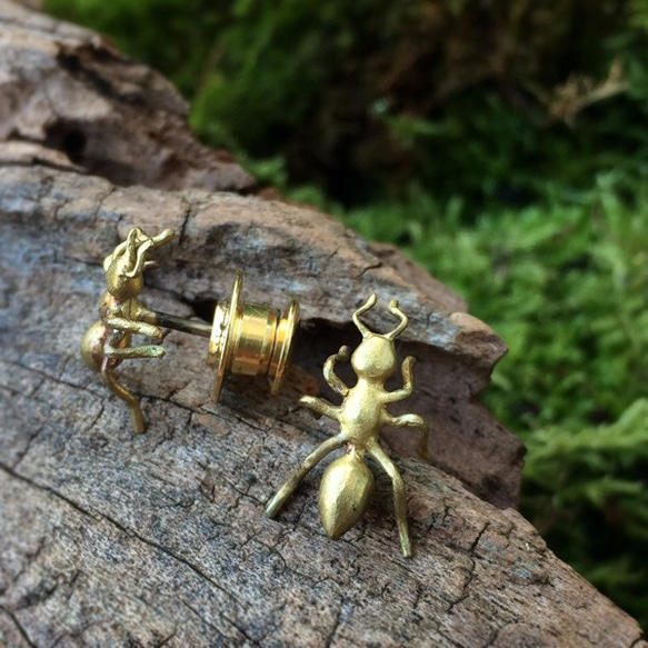 ＜蟲＞蟻ピン（BS) 1枚目の画像