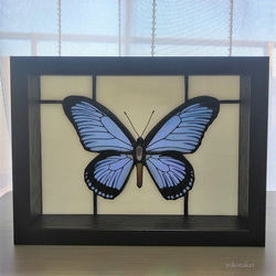 0_f62249eb786dd158112dae11683f