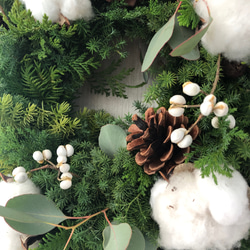 針葉樹の香りに癒される　白いコットンの実のクリスマスリース　35cm 6枚目の画像