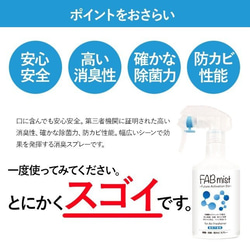 FAB霧300毫升100％天然成分消毒噴霧劑2瓶套裝官方官方項目 第4張的照片