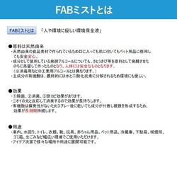 FAB ミスト 300ml　天然由来成分100％除菌スプレー 2本set　公認公式アイテム 6枚目の画像