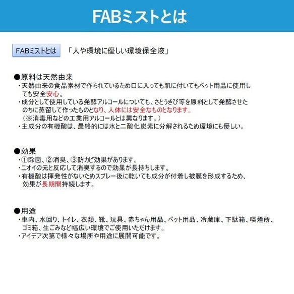 FAB ミスト 300ml　天然由来成分100％除菌スプレー 2本set　公認公式アイテム 6枚目の画像