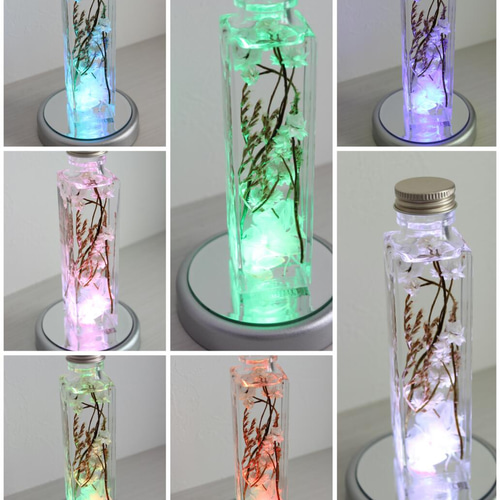 ハーバリウム】白いハーバリウム ハーバリウム・植物標本 花工房
