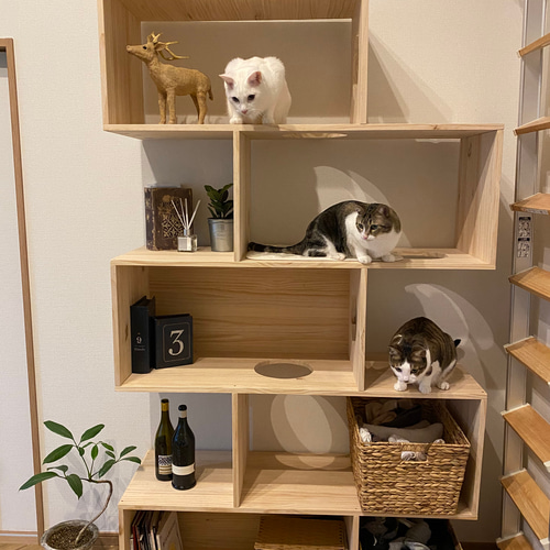 収納付きキャットタワー本棚 猫棚4×2 ｜ 猫のための木工所