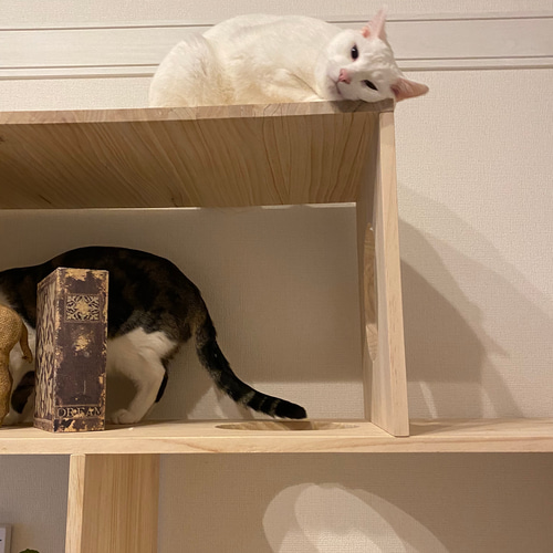 ねこのたな 猫の棚 ハウス・小屋 Fab Labo 通販 11002004