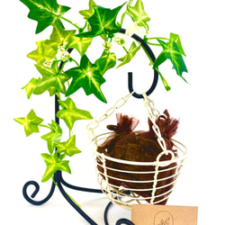 デオドライズティーD　消臭 インテリア雑貨 茶葉 置物 観葉植物 消臭剤　 2枚目の画像