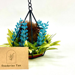 デオドライズティーC　消臭 インテリア雑貨 茶葉 置物 観葉植物 消臭剤　 2枚目の画像