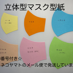 スタイ型紙5枚☆クリアtypeの交換用‼ スタイ型紙5枚☆クリアtypeの交換用‼