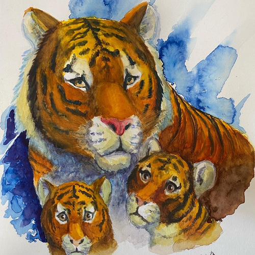 来年の干支 虎の絵 【希望】 イラスト 武内みゆき 通販 13089705