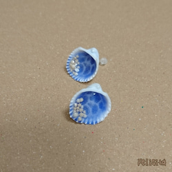 貝殻ピアス✨ 2枚目の画像