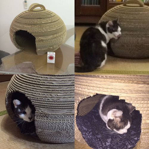 ダンボールねこちぐら | 愛知県清須市 | ふるさと納税サイト