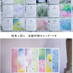 活版印刷カレンダー2018（木製スタンド付き）＊Mariko Hirai ＊ Photo＆Pastel 2枚目の画像