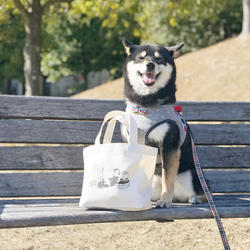 【柴犬福袋】ランチトートバッグつき福袋セット：B 2枚目の画像