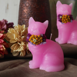 藝術植物貓蠟燭&lt;粉紅色&gt; 第2張的照片