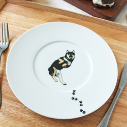 [柴犬]黑芝沙漠板&lt;大輪緣餐廳/沙漠板&gt; 第3張的照片