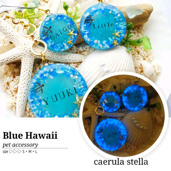 RUKURUKU/レジン/海辺の子猫達　蓄光　オルゴナイトキーホルダー RUKURUKU/レジン/海辺の子猫達 蓄光 オルゴナイトキーホルダー