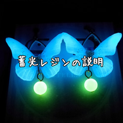 ❤️竜そばです❤️ 暗闇で光る　レジン　チャーム　21点　プレゼント付 蓄光レジンの説明 その他アクセサリー 蓄光レジンの店カエルラ