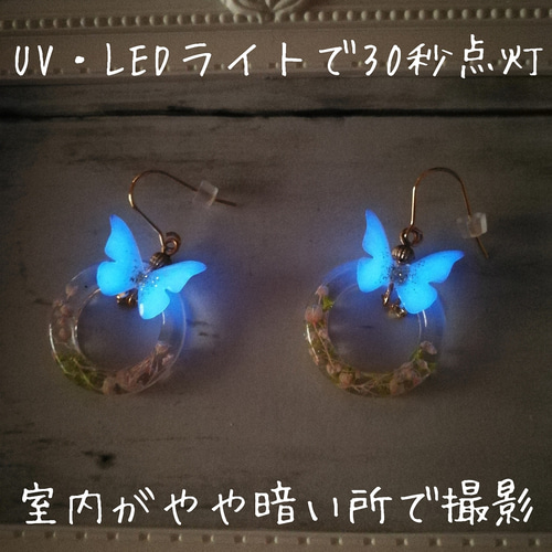 蓄光レジンの説明 その他アクセサリー 蓄光レジンの店カエルラステラ