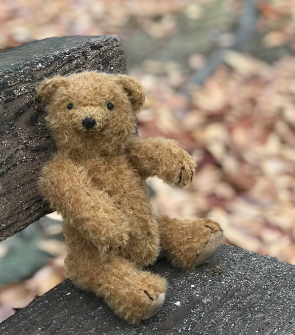 つぶらな瞳でモサっとした毛並みのクマさん。 ぬいぐるみ hataco
