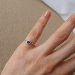 1_037fa9e5468e8254ba698673e78a