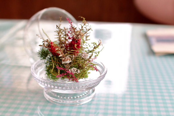 野の花のガラスドーム 3枚目の画像