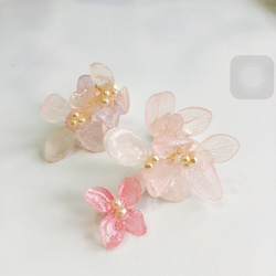 繡球花耳環粉紅色，有很多繡球花 [14kgf] 第2張的照片