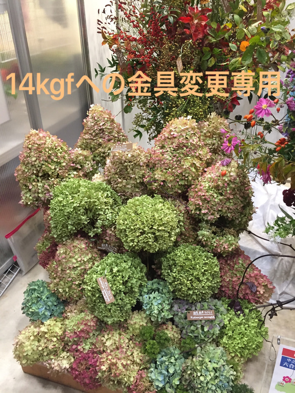 用於增加14kgf 第1張的照片