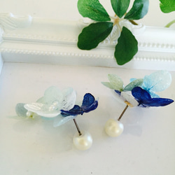 【Creema限定】繡球花耳環Plenty of Hydrangea Flower Series 3【Blue Gradatio 第3張的照片
