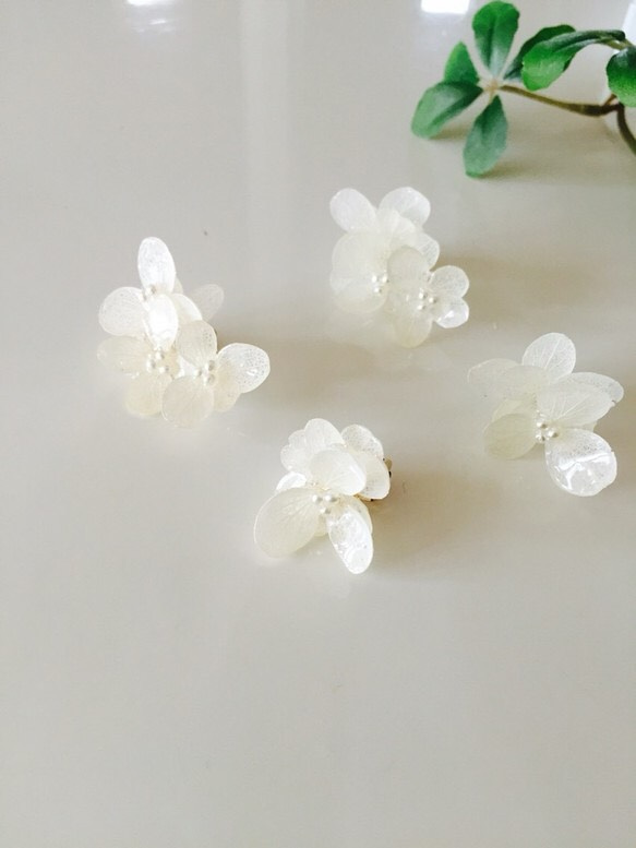繡球耳環或耳環～繡球花系列～《白色》 第1張的照片