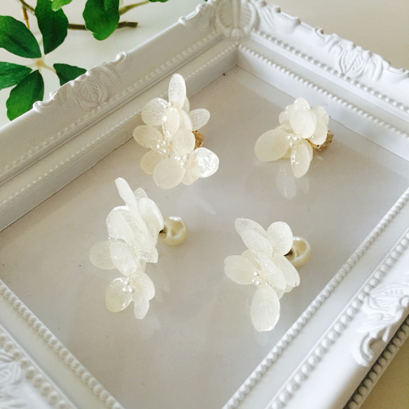 繡球耳環或耳環～繡球花系列～《白色》 第2張的照片