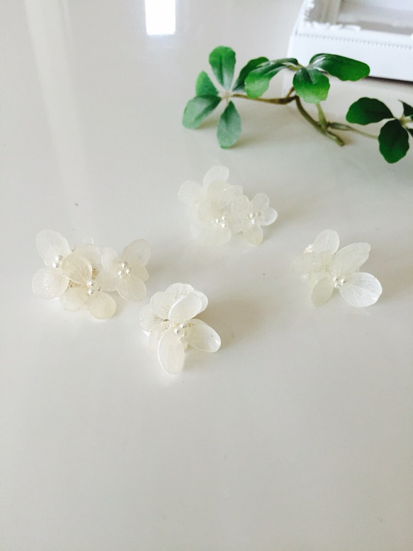 繡球耳環或耳環～繡球花系列～《白色》 第3張的照片