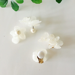 繡球耳環或耳環～繡球花系列～《白色》 第5張的照片