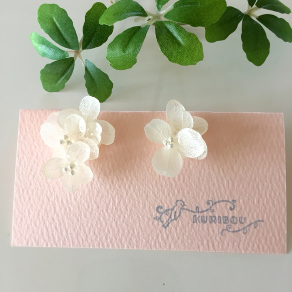 繡球耳環或耳環～繡球花系列～《白色》 第4張的照片