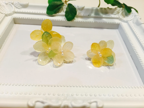 紫陽花のピアスorイヤリング  〜yellow〜 3枚目の画像