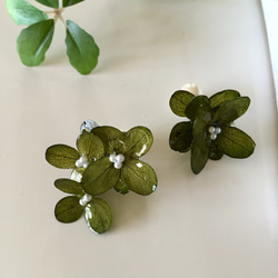 ⭐︎⭐︎ 【秋冬新品】繡球花耳環～苔蘚綠～ 第1張的照片