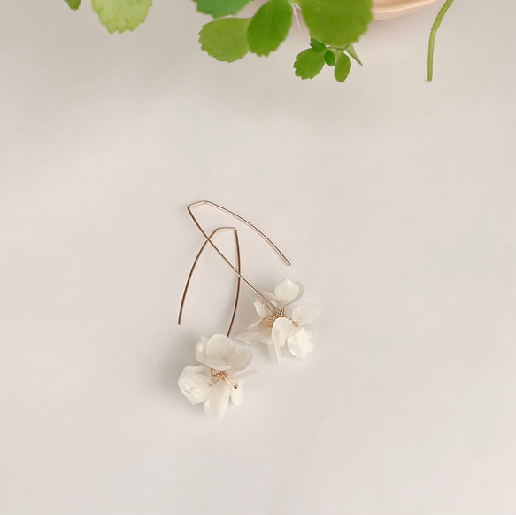 【14kgf】白い紫陽花のまん丸ピアス 5枚目の画像