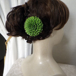 『再販』組み合わせ色々～中輪ぽんぽん菊のコサージュ＆髪飾り（グリーンゴールドA） 5枚目の画像