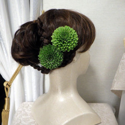 『再販』組み合わせ色々～中輪ぽんぽん菊のコサージュ＆髪飾り（グリーンゴールドA） 6枚目の画像