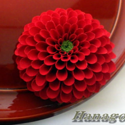組み合わせ色々～中輪ぽんぽん菊のコサージュ＆髪飾り（祝紅） 1枚目の画像
