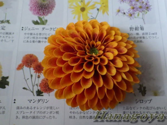 組み合わせ色々～中輪ぽんぽん菊のコサージュ＆髪飾り（オレンジ） 3枚目の画像